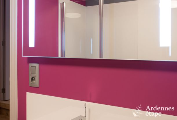 Luxury villa in Durbuy: accommodation for 15 people with pool, spa, and nature in the Ardennes