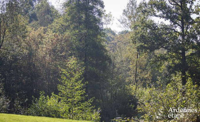 Luxury villa in Durbuy for 9 persons in the Ardennes