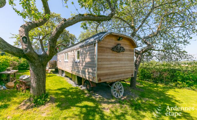 Beautiful and comfortable trailer for 2 - 3 people in Erezée