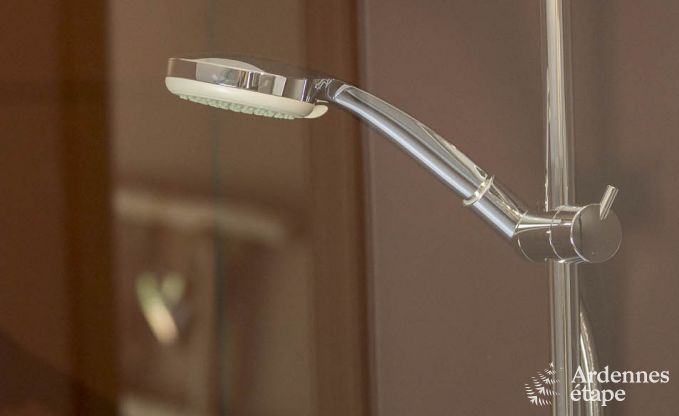 Holiday cottage in Esneux for 12 persons in the Ardennes