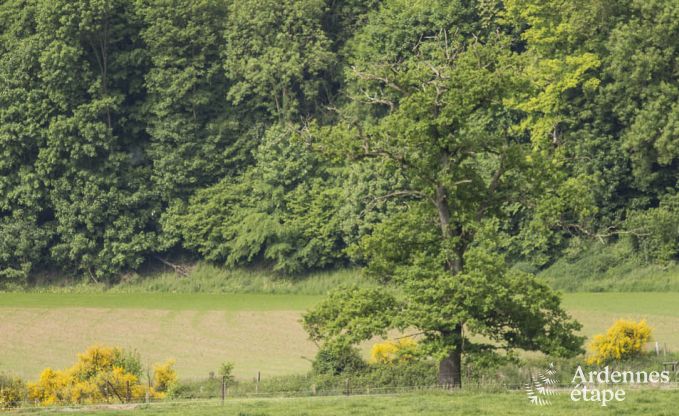 Holiday cottage in Esneux for 12 persons in the Ardennes