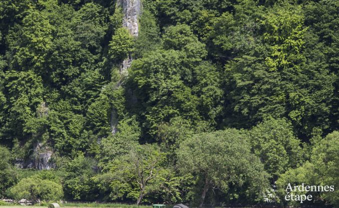 Holiday cottage in Esneux for 12 persons in the Ardennes