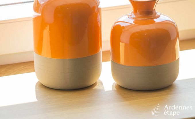 Holiday cottage in Esneux for 12 persons in the Ardennes