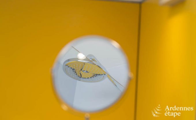 Holiday cottage in Esneux for 12 persons in the Ardennes