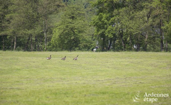 Holiday cottage in Esneux for 12 persons in the Ardennes