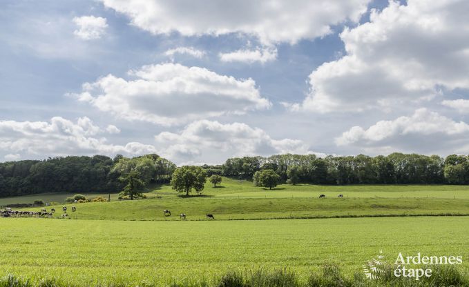 Holiday cottage in Esneux for 12 persons in the Ardennes