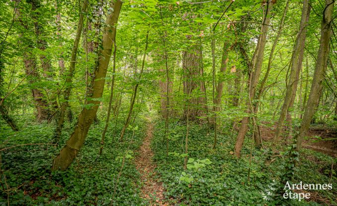 Holiday cottage in Fernelmont for 2/4 persons in the Ardennes