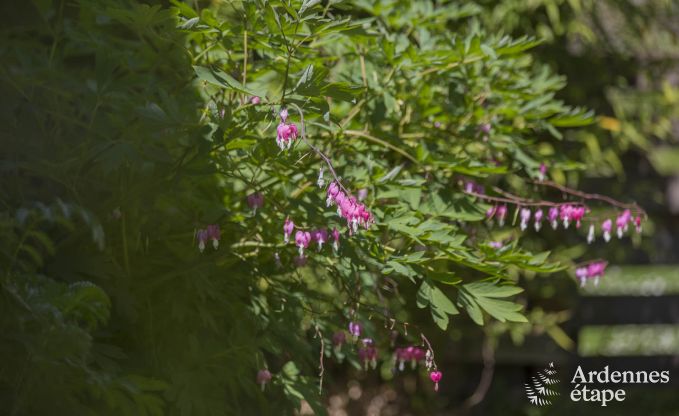 Holiday cottage in Ferrires for 2 persons in the Ardennes