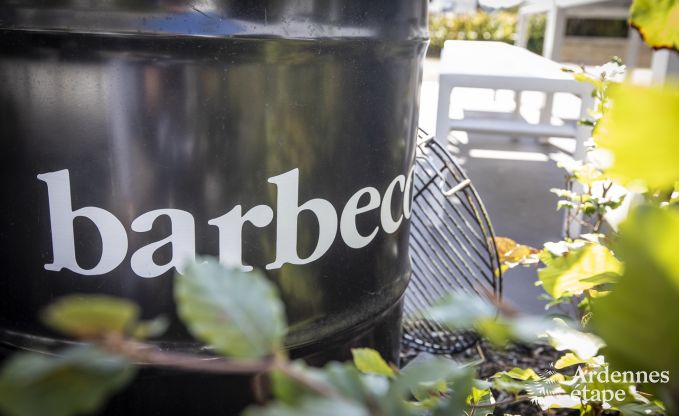 Holiday cottage in Florenville for 12 persons in the Ardennes