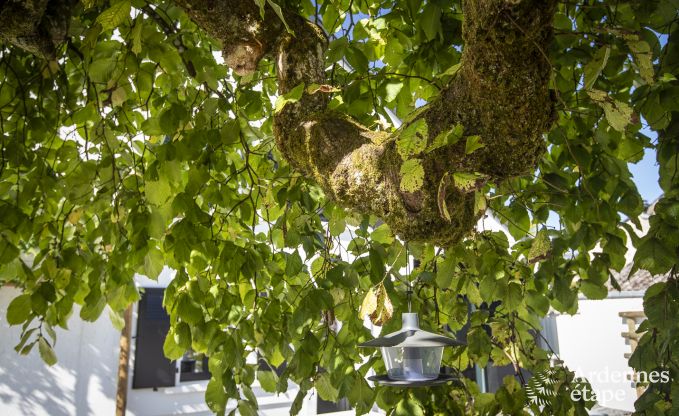 Holiday cottage in Florenville for 12 persons in the Ardennes