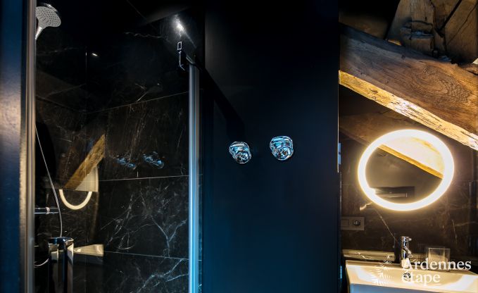 Holiday cottage in Florenville for 12 persons in the Ardennes