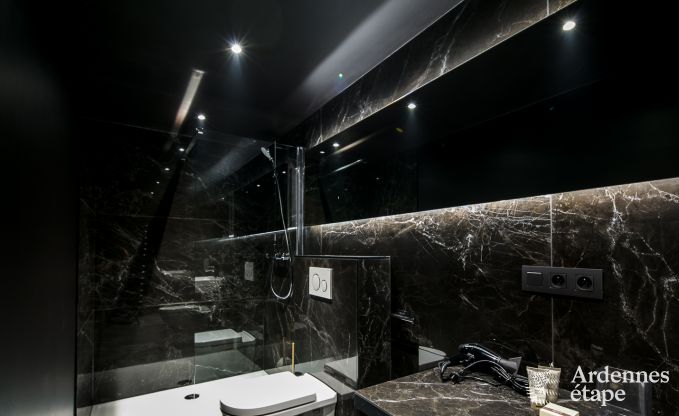 Holiday cottage in Florenville for 12 persons in the Ardennes