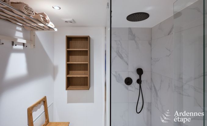 Charming holiday home for 8 people in Florenville with 4 bedrooms, wellness and play tower on the Semois