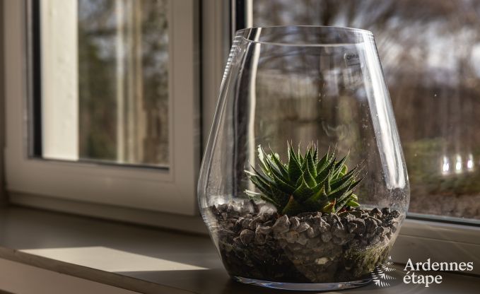 Luxury villa in Francorchamps for 9 persons in the Ardennes