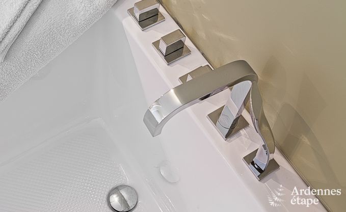 Luxury holiday home in Froidthier for 10 guests with swimming pool, wellness and 5 bedrooms near Aubel