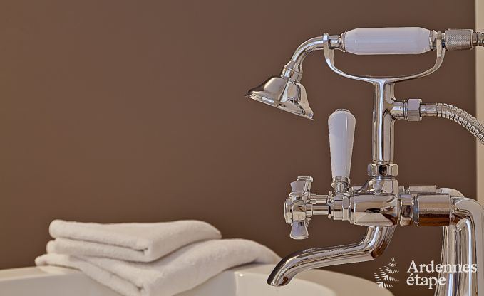 Luxury holiday home in Froidthier for 10 guests with swimming pool, wellness and 5 bedrooms near Aubel