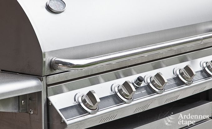 Luxury holiday home in Froidthier for 10 guests with swimming pool, wellness and 5 bedrooms near Aubel