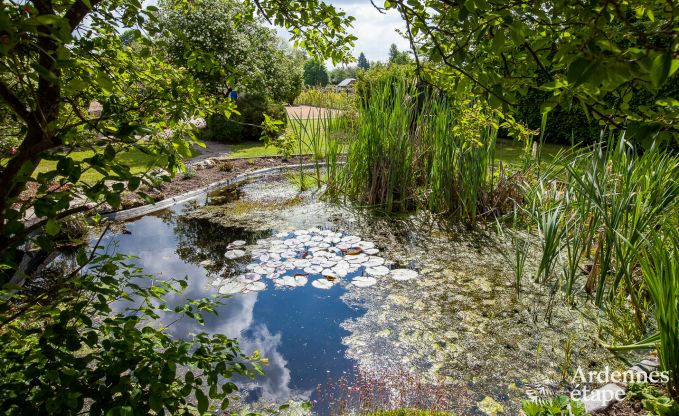 Very beautiful holiday cottage in Gedinne for 20 persons in the Ardennes