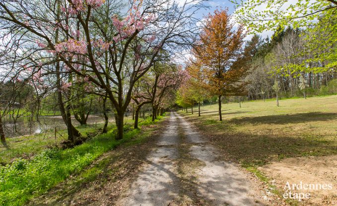 Holiday cottage in Gedinne for 16/18 persons in the Ardennes