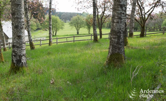 Holiday cottage in Gedinne for 16/18 persons in the Ardennes