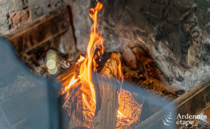 Beautiful luxury castle in Gedinne, Ardennes