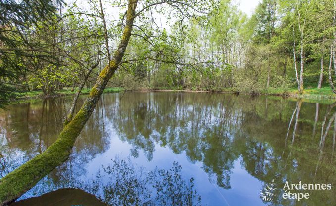 Holiday cottage in Gedinne for 16/18 persons in the Ardennes