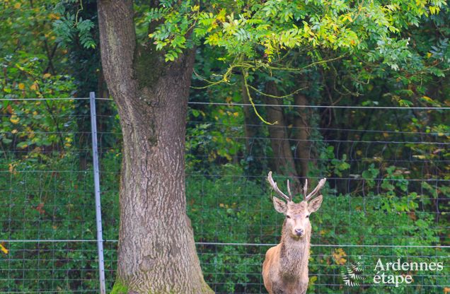 Holiday cottage in Gesves for 8/9 persons in the Ardennes