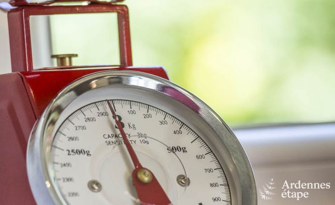 Holiday home for families in Gouvy with swimming pool, sauna and view in the Ardennes