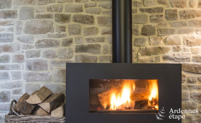 Holiday home for families in Gouvy with swimming pool, sauna and view in the Ardennes