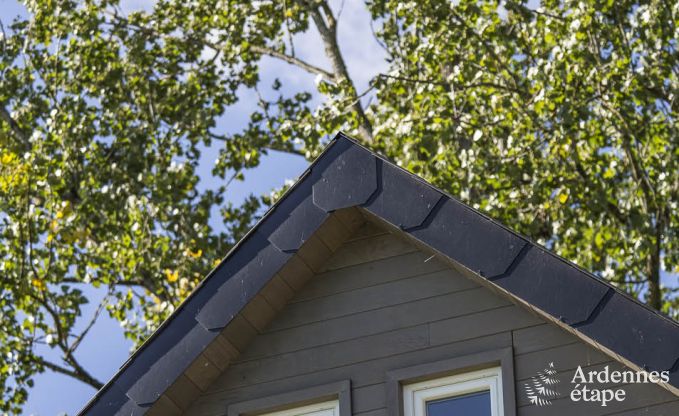 Holiday home for families in Gouvy with swimming pool, sauna and view in the Ardennes