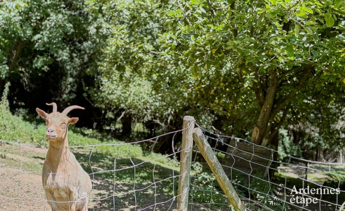 Spacious holiday home for 14 people with 5 bedrooms, 4 bathrooms and large private garden in Hamoir, Ardennes