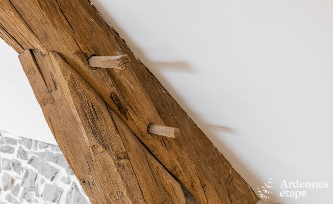 Holiday cottage in Hamois for 9 persons in the Ardennes