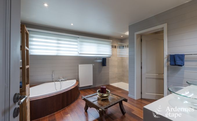 Spacious holiday home for 12 people with swimming pool and private garden in Hamois, Ardennes