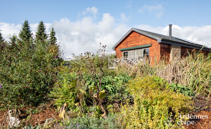 Spacious holiday home for 12 people with swimming pool and private garden in Hamois, Ardennes