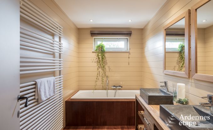 Spacious holiday home for 12 people with swimming pool and private garden in Hamois, Ardennes