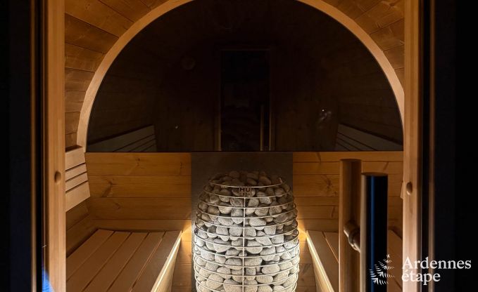 Spacious holiday home for 12 people with swimming pool and private garden in Hamois, Ardennes