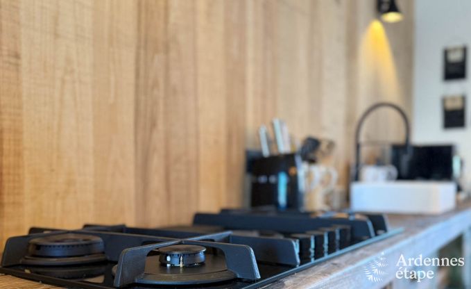 Spacious holiday home in Han-sur-Lesse for 8 people with 4 bedrooms, private garden and terrace