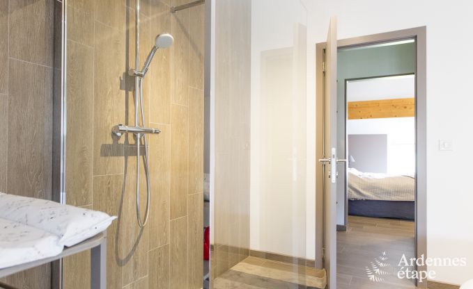 Spacious holiday home consisting of two adjoining buildings in Han-sur-Lesse for 13 people with indoor swimming pool