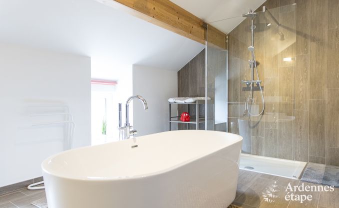 Spacious holiday home consisting of two adjoining buildings in Han-sur-Lesse for 13 people with indoor swimming pool