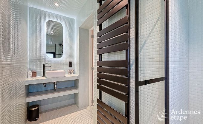 Spacious holiday home in Han-sur-Lesse for 8 people with 4 bedrooms, private garden and terrace