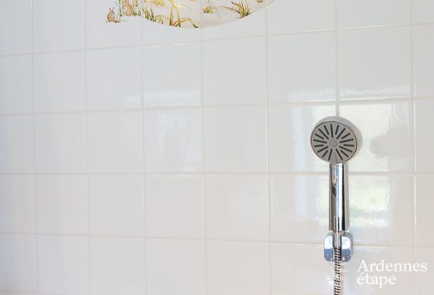 Holiday cottage in Hannut for 21 persons in the Ardennes