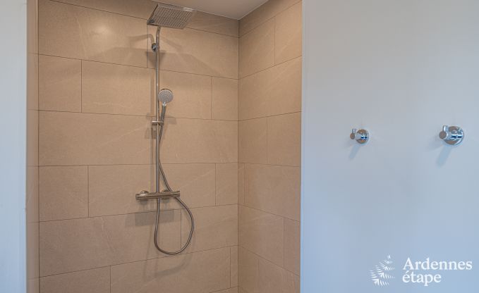 Spacious luxury villa with swimming pool in Hastire, Ardennes