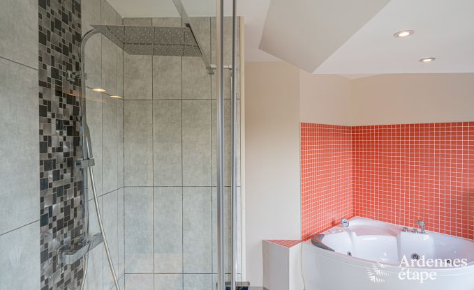 Spacious luxury villa with swimming pool in Hastire, Ardennes