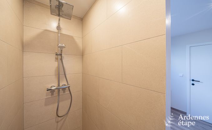 Spacious luxury villa with swimming pool in Hastire, Ardennes