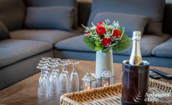 Spacious luxury villa with swimming pool in Hastire, Ardennes