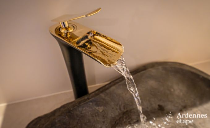 Spacious luxury villa with swimming pool in Hastire, Ardennes