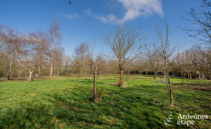 Spacious luxury villa with swimming pool in Hastire, Ardennes