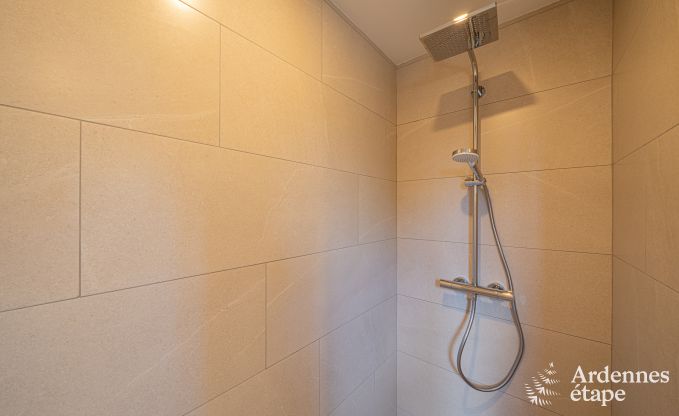 Spacious luxury villa with swimming pool in Hastire, Ardennes