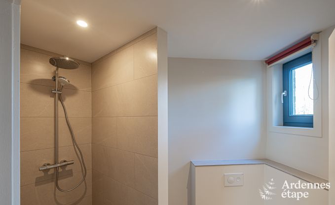 Spacious luxury villa with swimming pool in Hastire, Ardennes