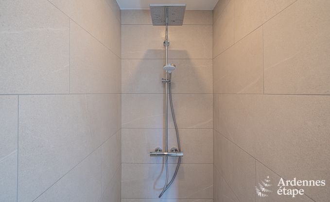 Spacious luxury villa with swimming pool in Hastire, Ardennes